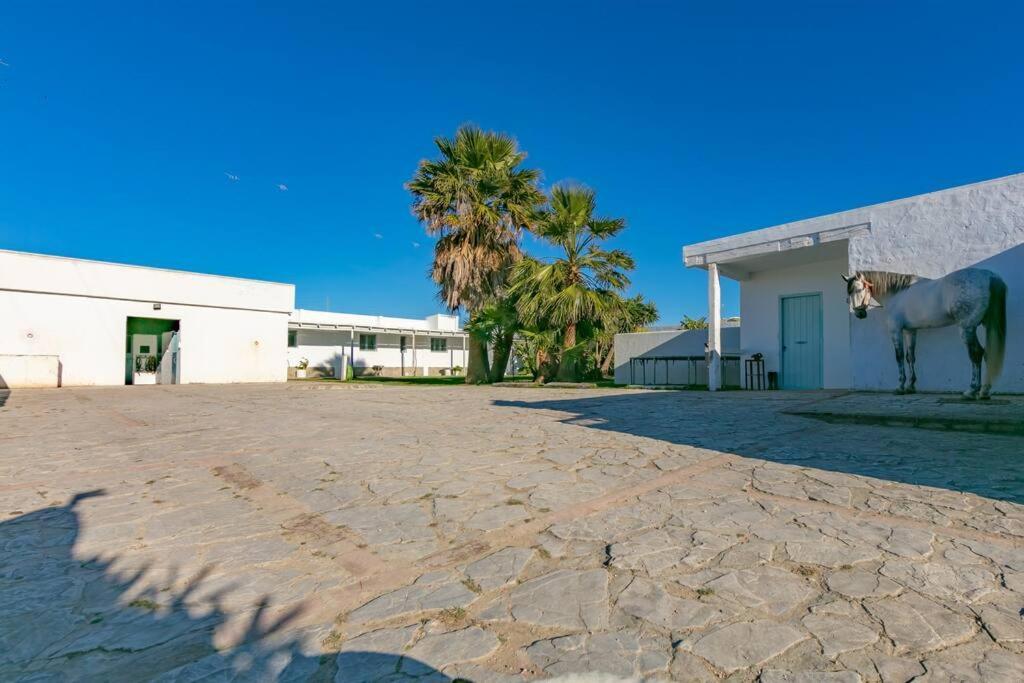 טריפה Habitaciones Rurales La Vega מראה חיצוני תמונה