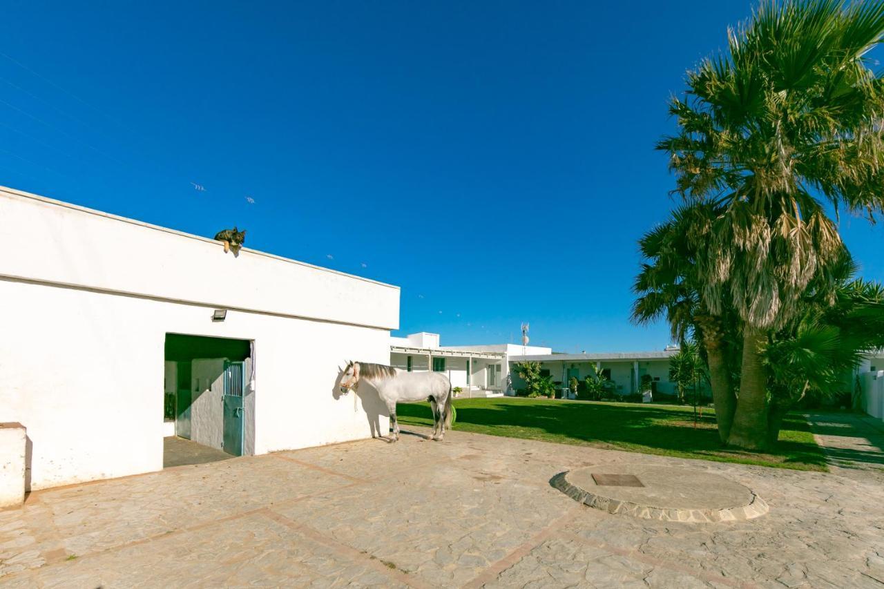 טריפה Habitaciones Rurales La Vega מראה חיצוני תמונה